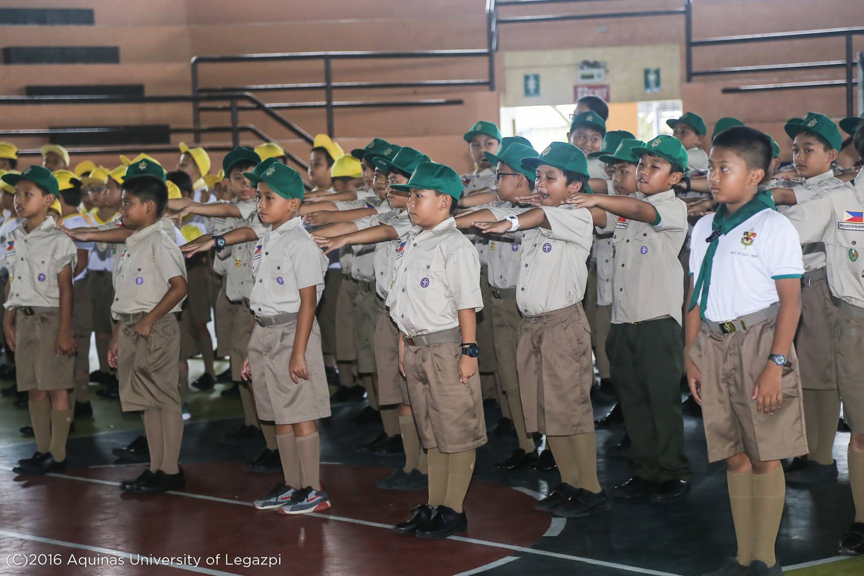 Boy/Kab Scout Investiture